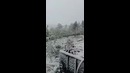 Сегодня в Казахстане выпал снег