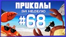 Приколы за неделю #68 | ПОТРАЧЕНО