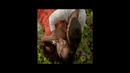 Prince Royce – darte un beso