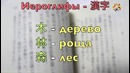 Сложно ли учить японский язык