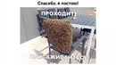 Лютые приколы. Школьный беспилотник из РОССИИ