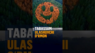 Tabassum ulashuvchi oʻrmon
