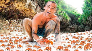 100 Million Red Crabs On A Tropical Island – Biggest Crab Migration In The World