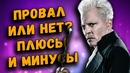 ПЛЮСЫ И МИНУСЫ Фантастические Твари: Преступления Грин-Де-Вальда