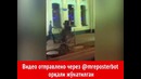 Тошкентда фуқаро ГАИ ходимини урди