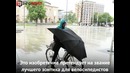 UNDER-COVER – зонтик для велосипеда из Германии
