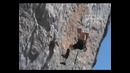 Настоящий скалолаз скал не бросает