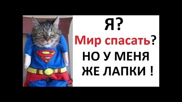 Лютые приколы. Я? Спасать мир? Но у меня же лапки