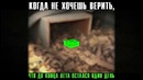 31 августа. Когда понял, что лето закончилось