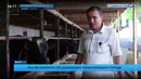 Чорвачиликдан 150 миллион сўм даромад