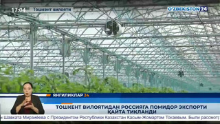 Toshkent viloyatidan Rossiyaga pomidor eksporti qayta tiklandi