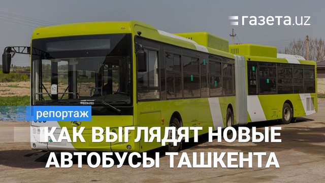 Обзор новых автобусов Ташкента