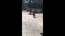 Смотри в оба