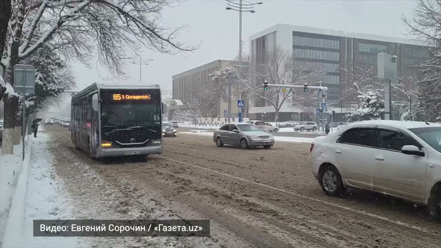 Cнежное утро в Ташкенте