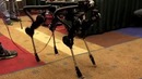 Корейская версия робота AlphaDog