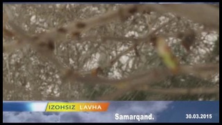 No comment – Снег в Самарканде (30.03.2015)