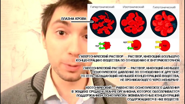 Борис Цацулин – Выпуск 13. Истинная причина ожирения. Отеки. Водно-солевой баланс