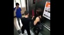 Беззащитные и нежные создания