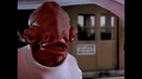 IT’S A TRAP