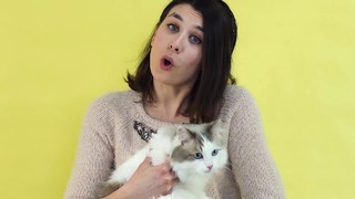 Не беси кота! Лайфхаки, которые помогут найти общий язык со своей кошкои