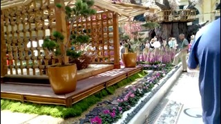 Лас Вегас, Невада, США. Ботанический сад, отель «Bellagio»