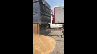 Расстроенный водитель грузовика решил разгрузить зерно прямо на дороге