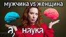 Мужской и женский мозг. Кто умнее, логичней, эмоциональней, агрессивней? // Наука. А поговорить