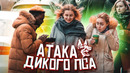 Злая собака напала на прохожих пранк / Реакция на лай собаки