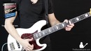 Slap Bass Lesson – BeginnerIntermediate (The Bass Wizard)