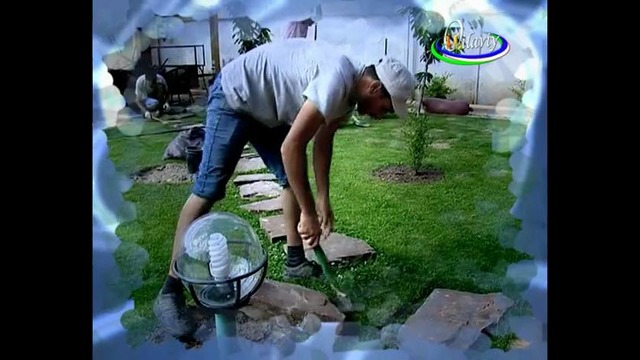 DomashniySad 29 07 15