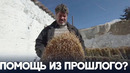 Тунисец выращивает пшеницу старых сортов, чтобы возродить сельское хозяйство