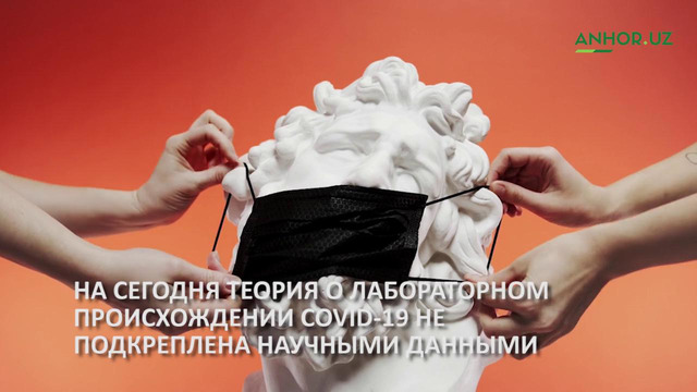 У теории лабораторного происхождения вируса нет научных подтверждений