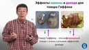 Экономика для неэкономистов 3.3