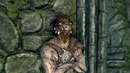 Inda game – Skyrim – Секреты и интересные факты об Аргонианах