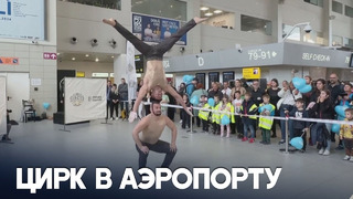 80 цирковых артистов выступили в аэропорту в Бухаресте