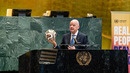 Infantino BMTda