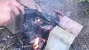 Узбекские чуваки попробовали чёрную рыбку