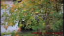 Compilation Crash Rallye 2015⁄2016, #1 HD