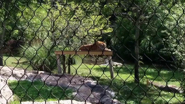 ИИ камера в смартфоне сможет ЭТО