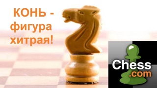Шахматная тактика на chess.com. Действительно красивая задача высокой сложности