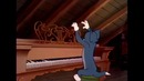 Dr Tom still Jerry)
