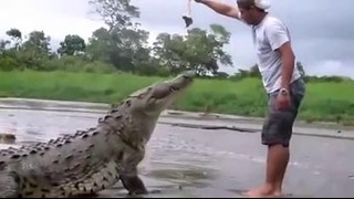 Едва не накормил собой крокодила