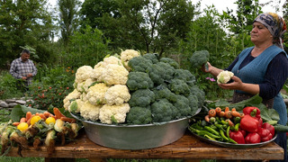 Farm Fresh: Broccoli Harvest, Pickling, and a Home-Cooked Dinner