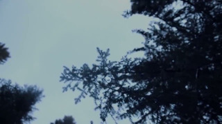 Wardruna – Skugge (Shadow), Official Lyric video