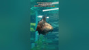 Какие древние рыбки #кино #фильмы #фильм #movie #film #piranha