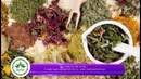 Guterak 1