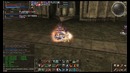 Lineage 2 Phoenix Knight (Paladin) Shoy – PVP 4 Fun
