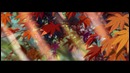 RADWIMPS – Sparkle (OST Твоё имя)