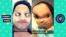 TRY NOT TO LAUGH – Funny Videos To Get You Through Today