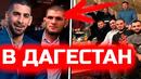 СРОЧНО! Топурию ПРИГЛАСИЛИ в Дагестан! Хабиб Нурмагомедов Илия Топурия Ислам Махачев Хамзат Чимаев